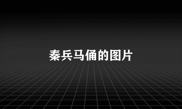 秦兵马俑的图片