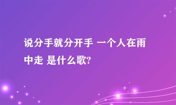 说分手就分开手 一个人在雨中走 是什么歌?