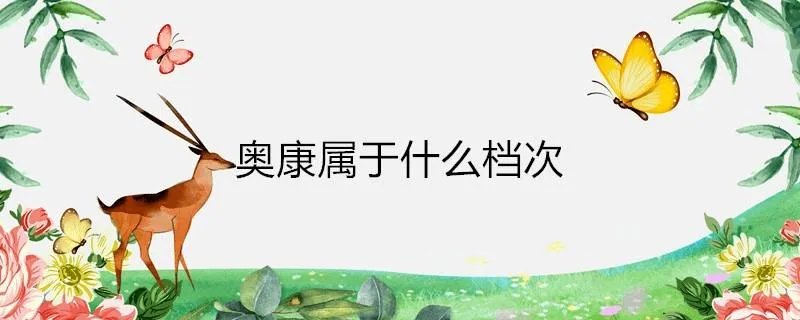 奥康属于什么档次