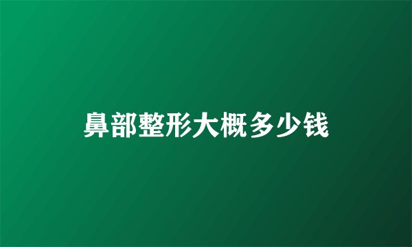鼻部整形大概多少钱