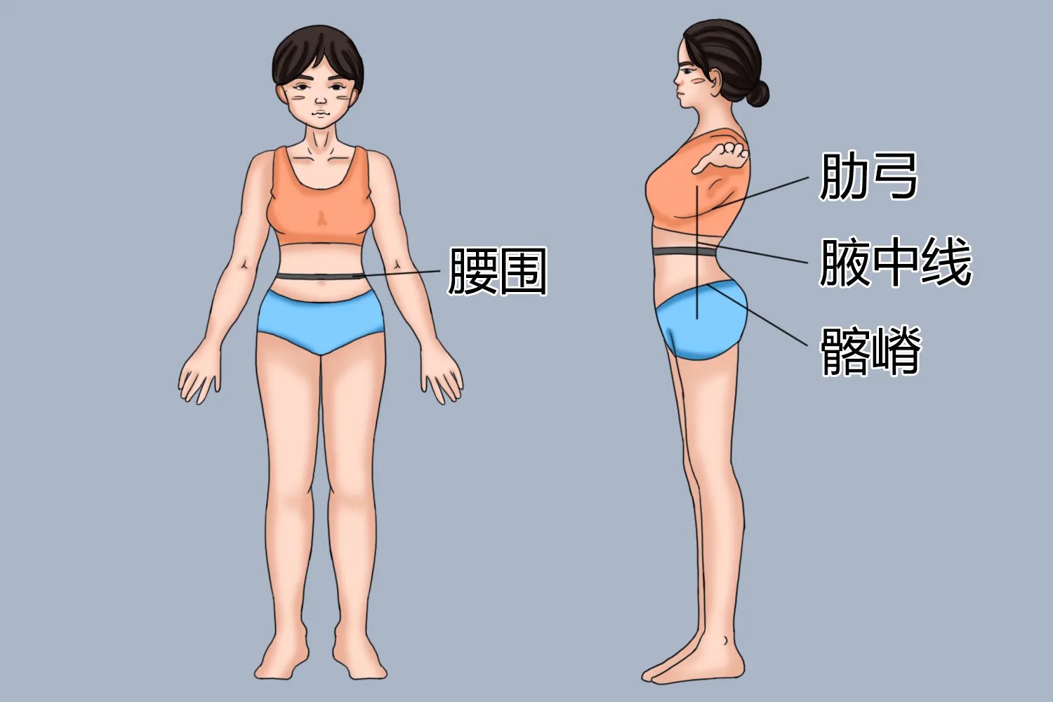 腰围量哪里准确图片