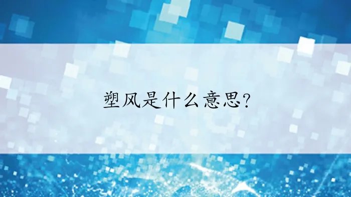塑风是什么意思?