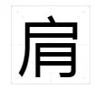 肩的组词有哪些