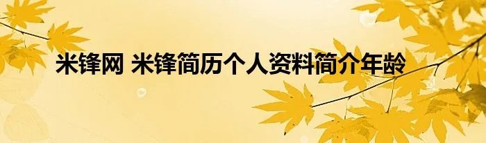 米锋网 米锋简历个人资料简介年龄