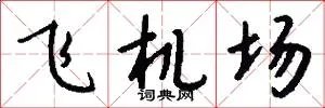 飞机场