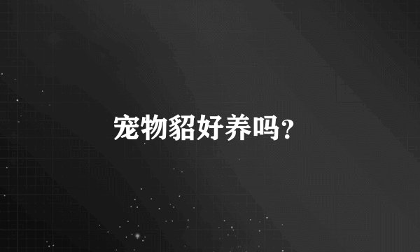宠物貂好养吗？