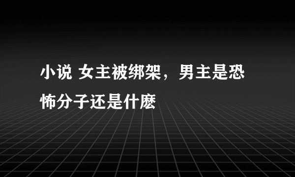 小说 女主被绑架,男主是恐怖分子还是什麽