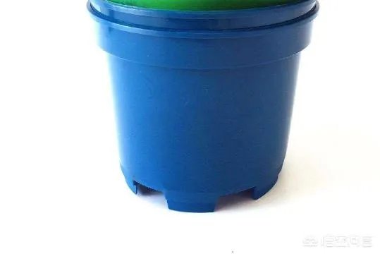 火鹤花用什么盆栽?