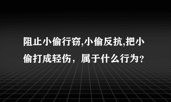 阻止小偷行窃,小偷反抗,把小偷打成轻伤，属于什么行为？