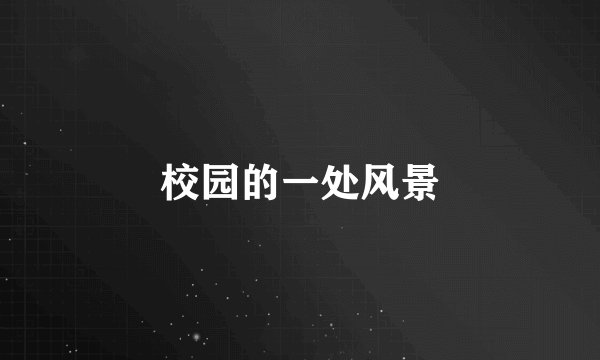 校园的一处风景