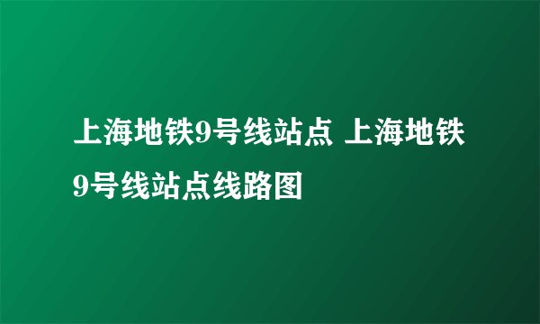 上海地铁9号线站点 上海地铁9号线站点线路图