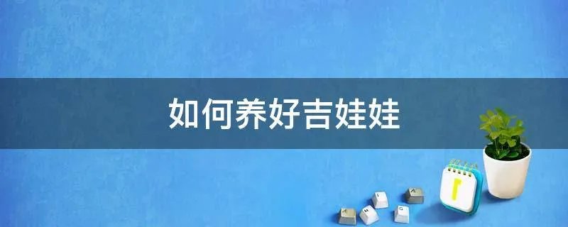 如何养好吉娃娃