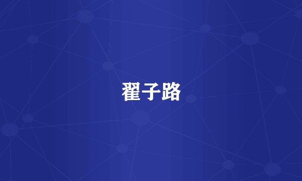 翟子路