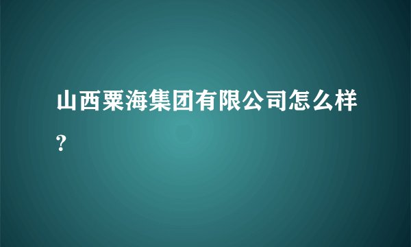 山西粟海集团有限公司怎么样？