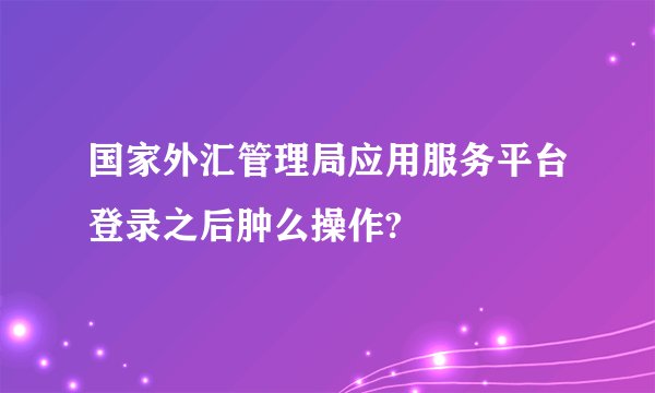 国家外汇管理局应用服务平台登录之后肿么操作?