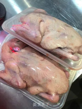 红烧乳鸽