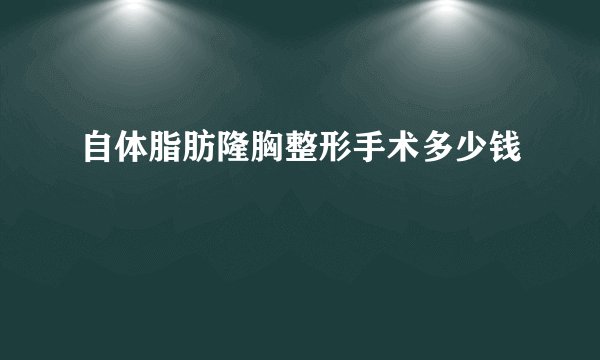 自体脂肪隆胸整形手术多少钱