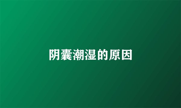 阴囊潮湿的原因