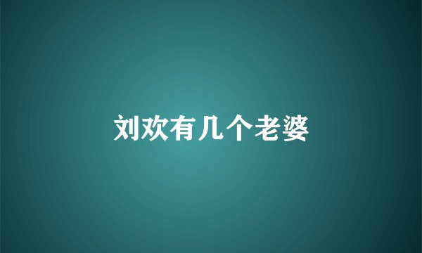 刘欢有几个老婆
