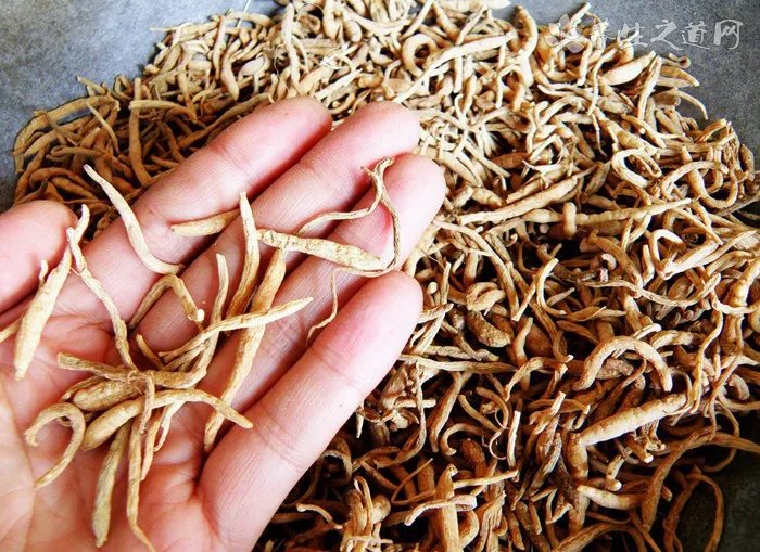 毛铺苦荞酒有几种系列,金/黑/紫/玉四大系列主打中高端(价格表)