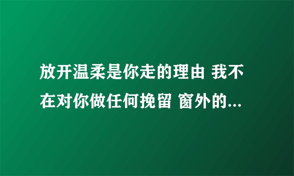 放开温柔是你走的理由 我不在对你做任何挽留 窗外的大雨 下的让人难受 这几句歌词是哪首歌里面的