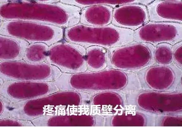 为什么说第一批90后的胃已经垮了?