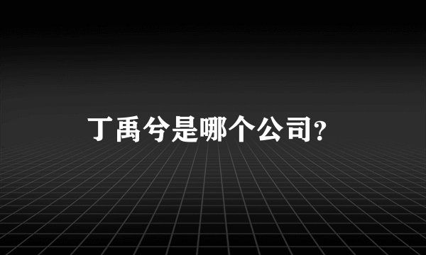 丁禹兮是哪个公司？