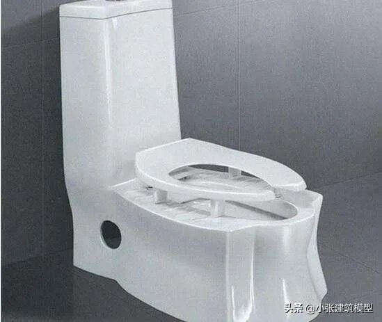 蹲坐两用马桶的缺点有哪些?