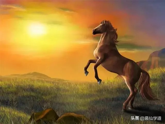 安徽能崛起吗?