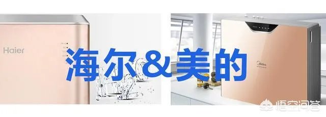 真正的高端净水器品牌有哪几个?什么样的好?