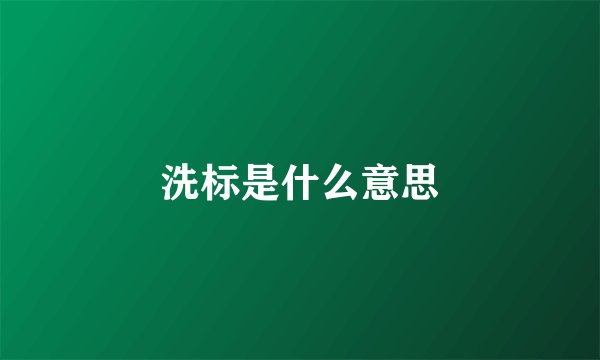 洗标是什么意思