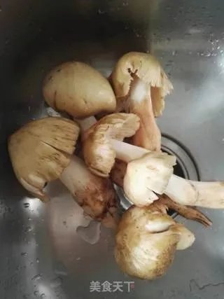 鸡枞菌汤