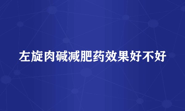 左旋肉碱减肥药效果好不好