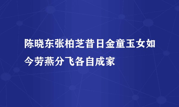 陈晓东张柏芝昔日金童玉女如今劳燕分飞各自成家