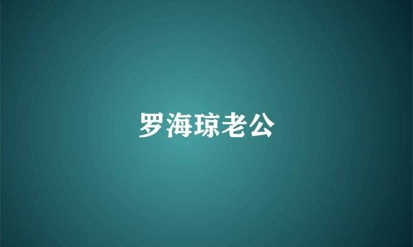 罗海琼老公