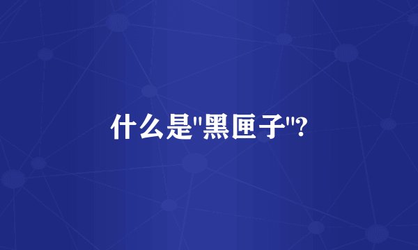 什么是