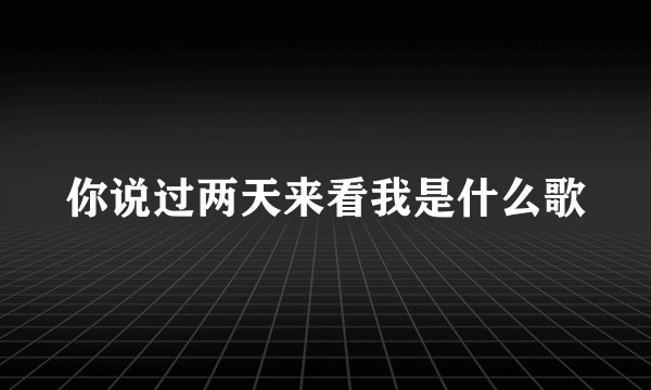 你说过两天来看我是什么歌