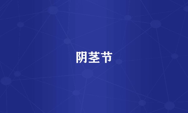 阴茎节