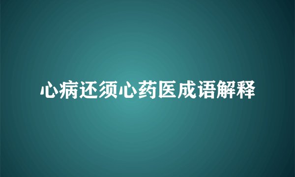 心病还须心药医成语解释