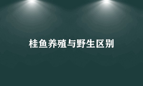 桂鱼养殖与野生区别