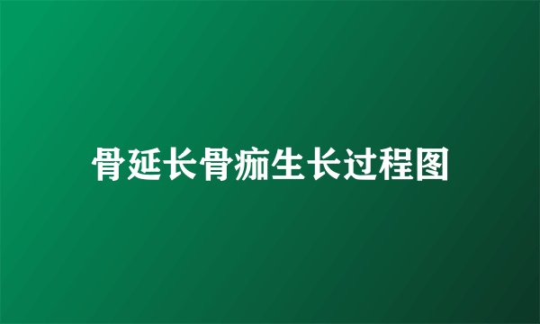 骨延长骨痂生长过程图