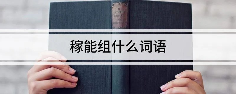 稼能组什么词语