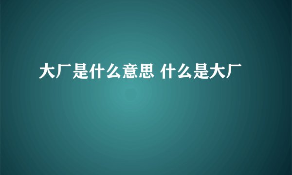 大厂是什么意思 什么是大厂