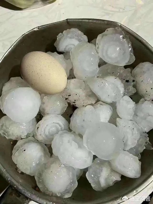 山东,四川等地有冰雹,对农作物损害非常大,你怎么看?