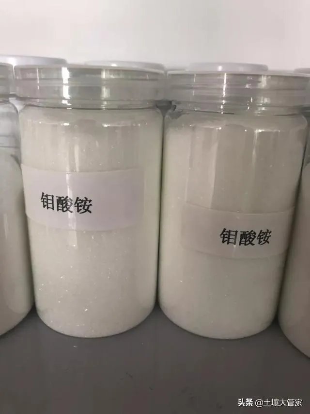 微量元素水溶肥哪家好?