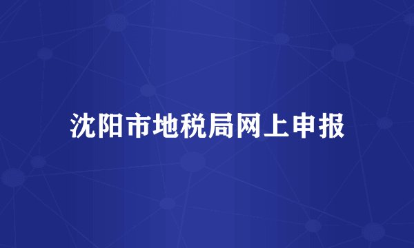 沈阳市地税局网上申报