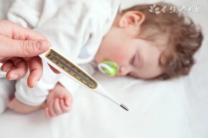 喝茶小常识