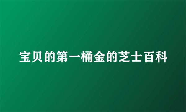 宝贝的第一桶金的芝士百科