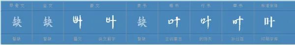 叶组词大全