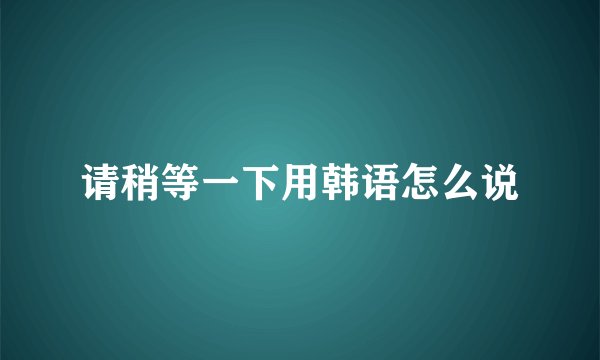 请稍等一下用韩语怎么说